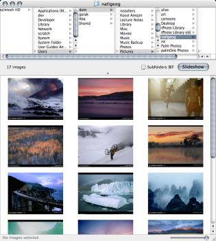 PhoenixSlides_1