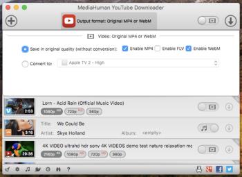 youtube_downloader_033